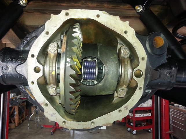 Rear Differential